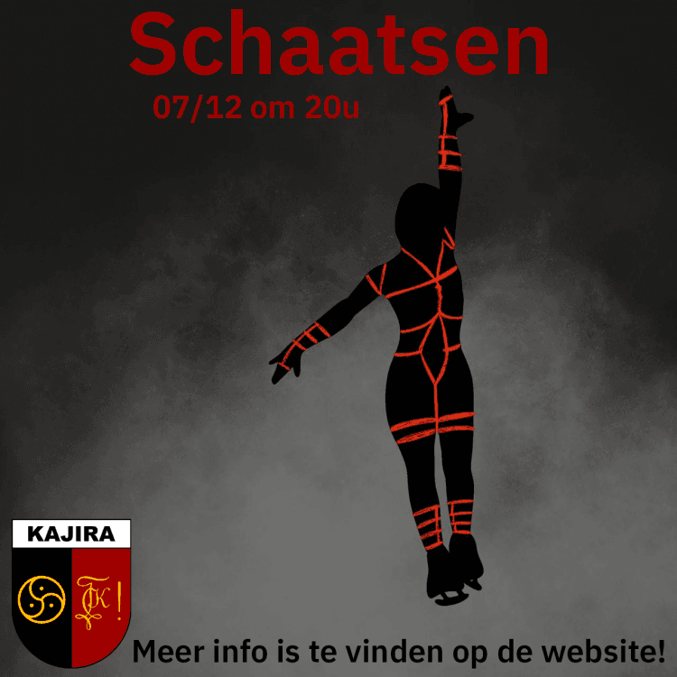 Schaatsen (gelukkig niet online)