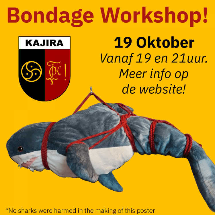 Bondageworkshop voor beginners Slot 1